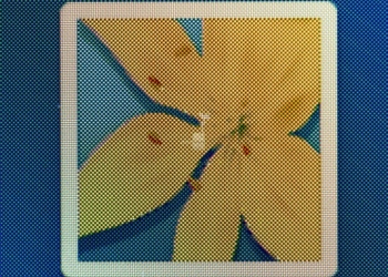 Display PenTile RGBW anche per Galaxy Tab Pro 12.2 e Note Pro 12.2