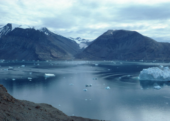 AMD prepara Greenland: GPU con 18 Miliardi di Transistor