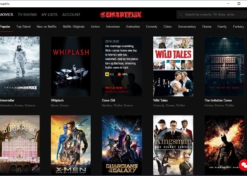 E così arriva SmartFlix a mostrare TUTTI i contenuti Netflix