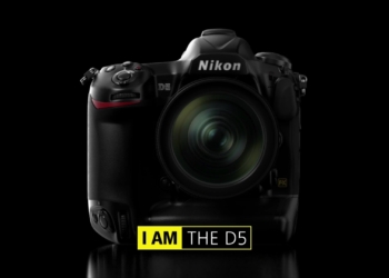 Nuovo firmware per Nikon D5 che porta diverse novità