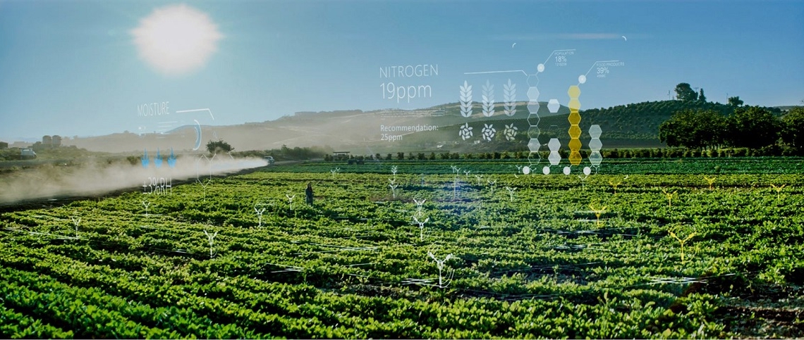 AI for Earth di Microsoft ottiene un nuovo alleato italiano