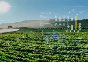 AI for Earth di Microsoft ottiene un nuovo alleato italiano