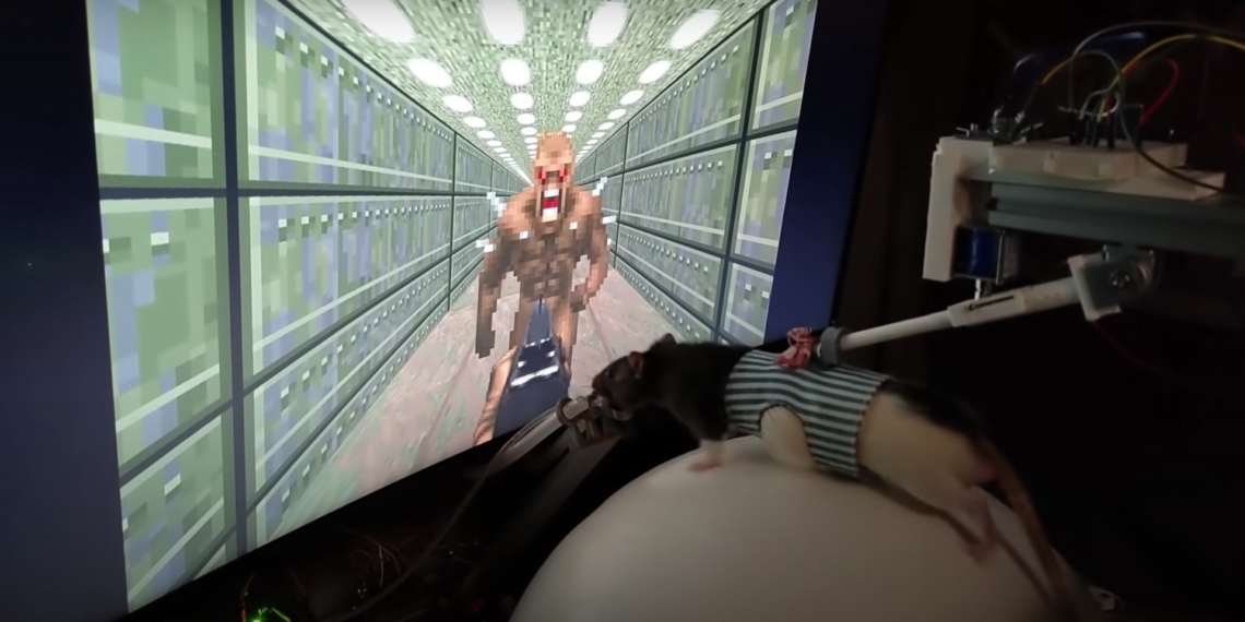 Qualcuno ha insegnato ai ratti a giocare con DOOM2