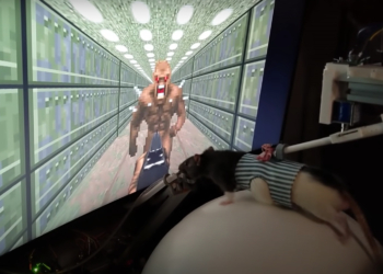 Qualcuno ha insegnato ai ratti a giocare con DOOM2